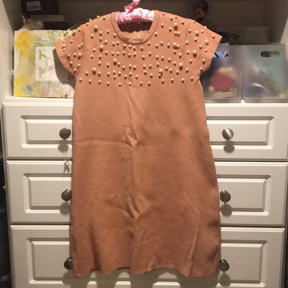 Zara fall dress size medium